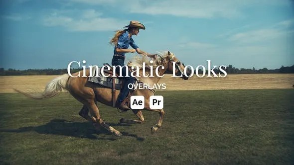 Videohive Cinematic Looks Overlay Toolkit 52879195 Videohive Cinematic Looks Overlay Toolkit 52879195