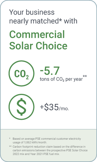 Pse Solar Energy Credit - Classic Minimal Wallpaper - HD