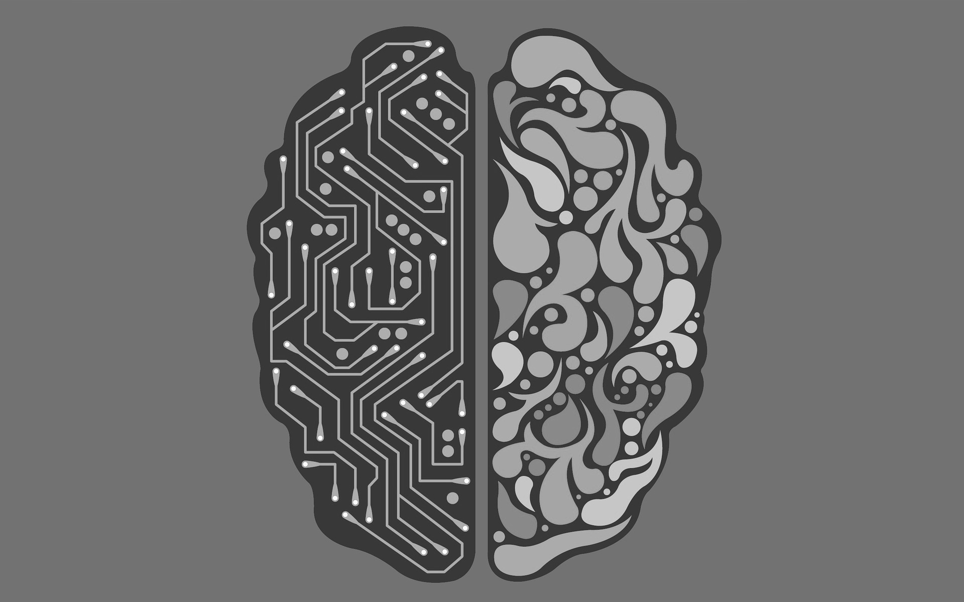 ¿Lograron conectar un cerebro humano a internet?