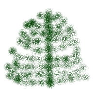 Malvorlage Kiefernzapfen Baume Kostenlose Ausmalbilder