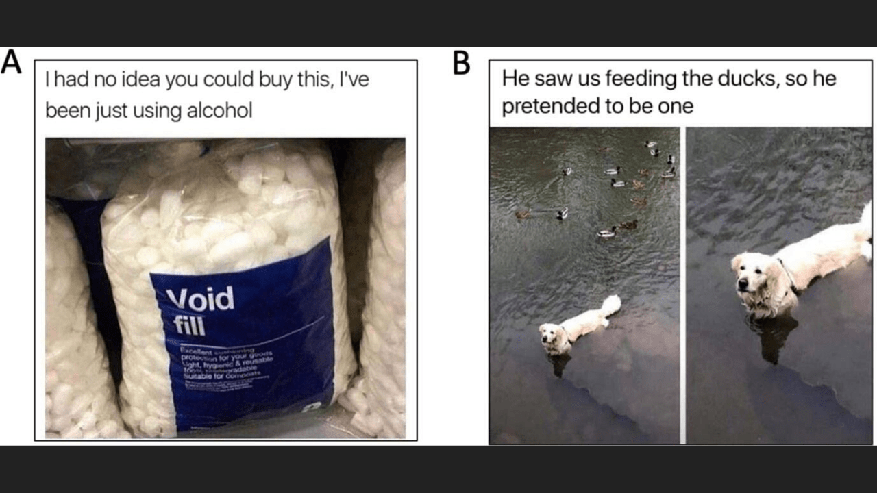 meme examples