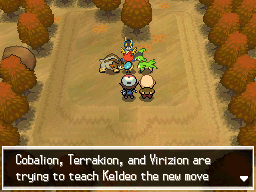 Feather dance, gen iii only Pokemon Black And White Move Tutors