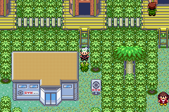 Jan 28, 2021 · after the brief conversation, the ship makes landfall in dewford town. Pokemon Emerald :: Brief Walkthrough