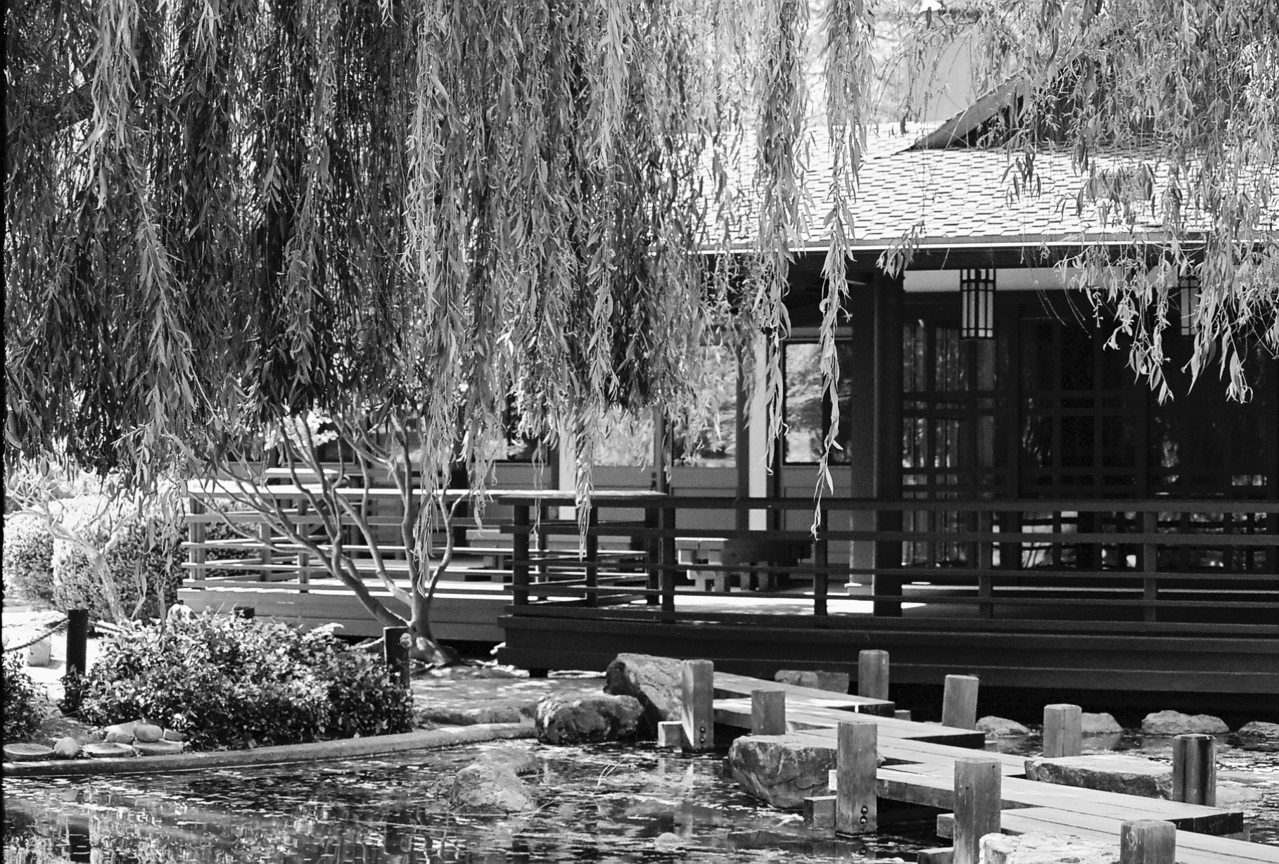 Japanese Friendship Garden at Kelley Park, SJ