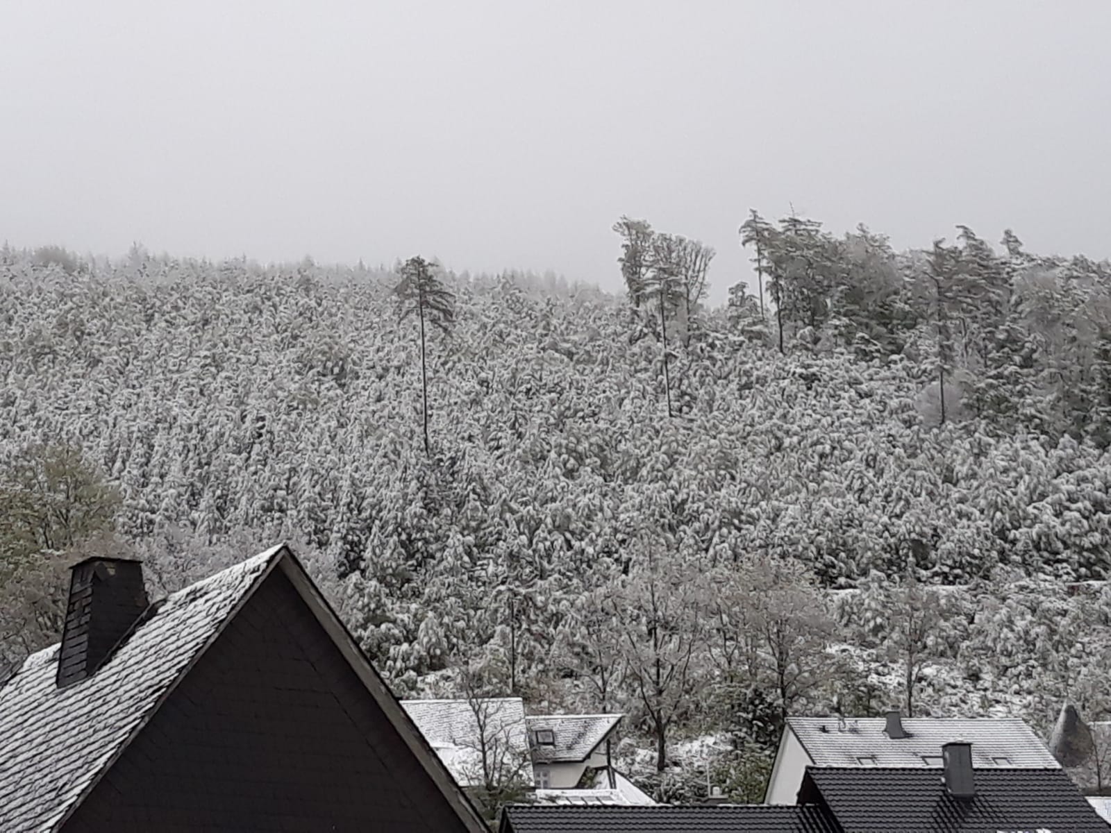 Sneeuw in Sauerland