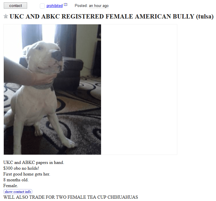 craigslist dogs 2 - more dogs for trade - puppy leaks on craigslist greenville cheap pets