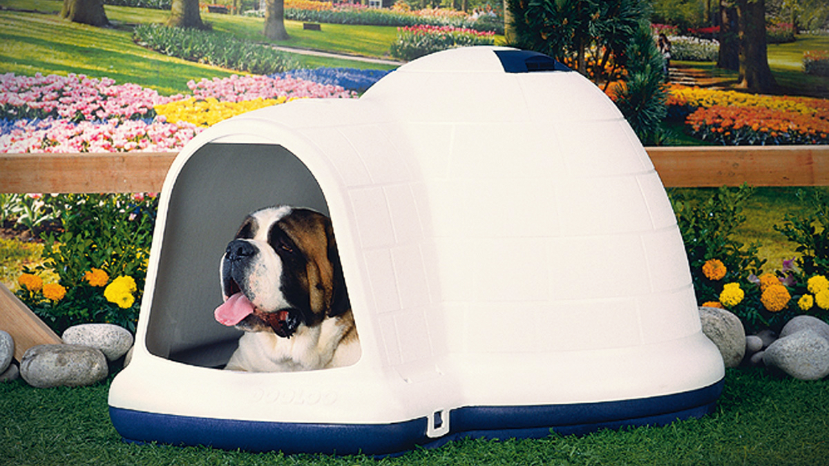 Igloo dog houses: are they a good idea?