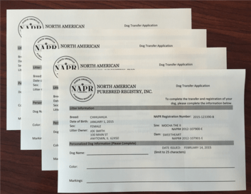 litter registration on north american pet registry