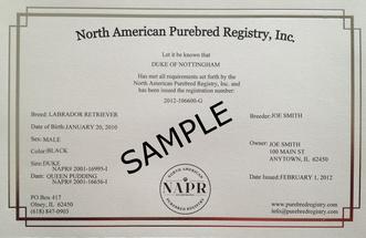 individual registration on north american pet registry