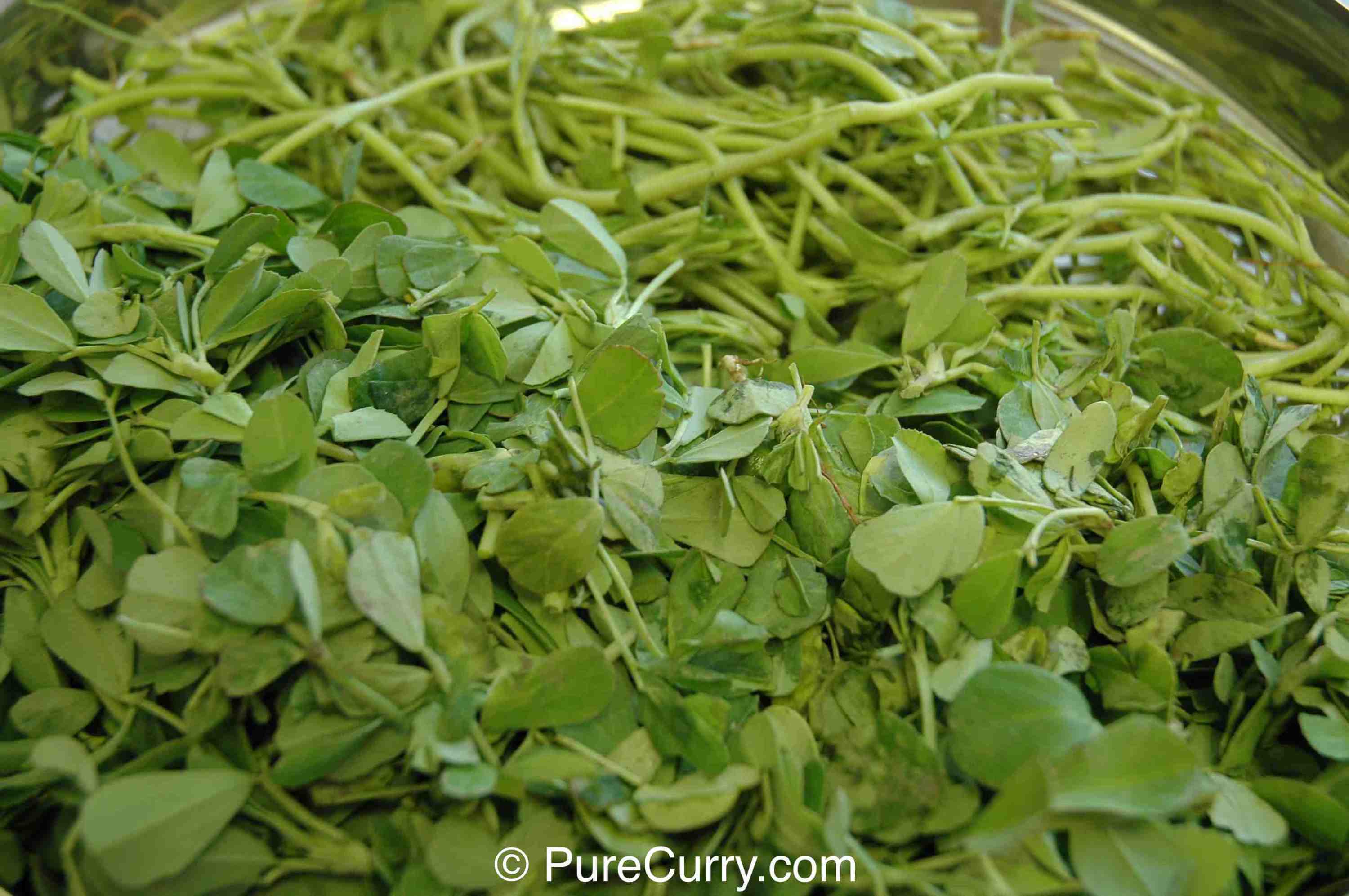 Dried Fenugreek Leaves PURE CURRY