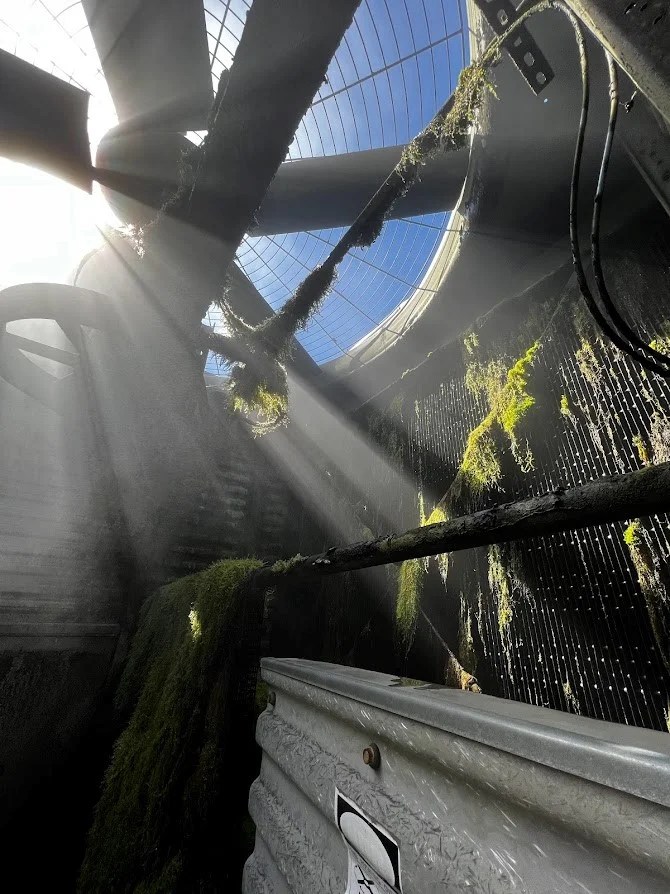Cooling tower water treatment with chlorine dioxide