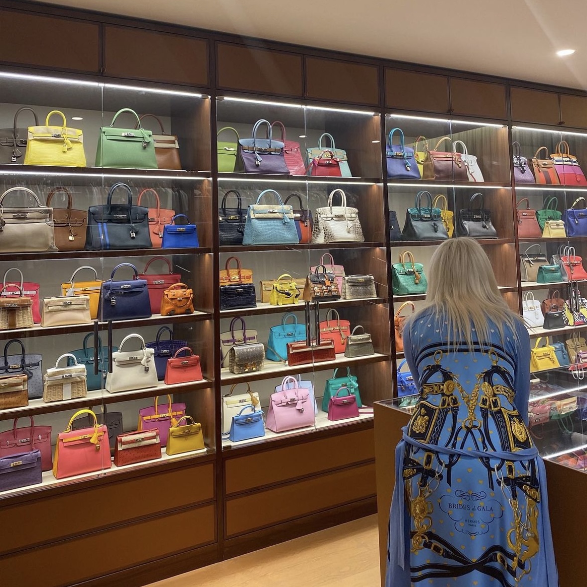 Luxury handbag collection displayed on a shelf