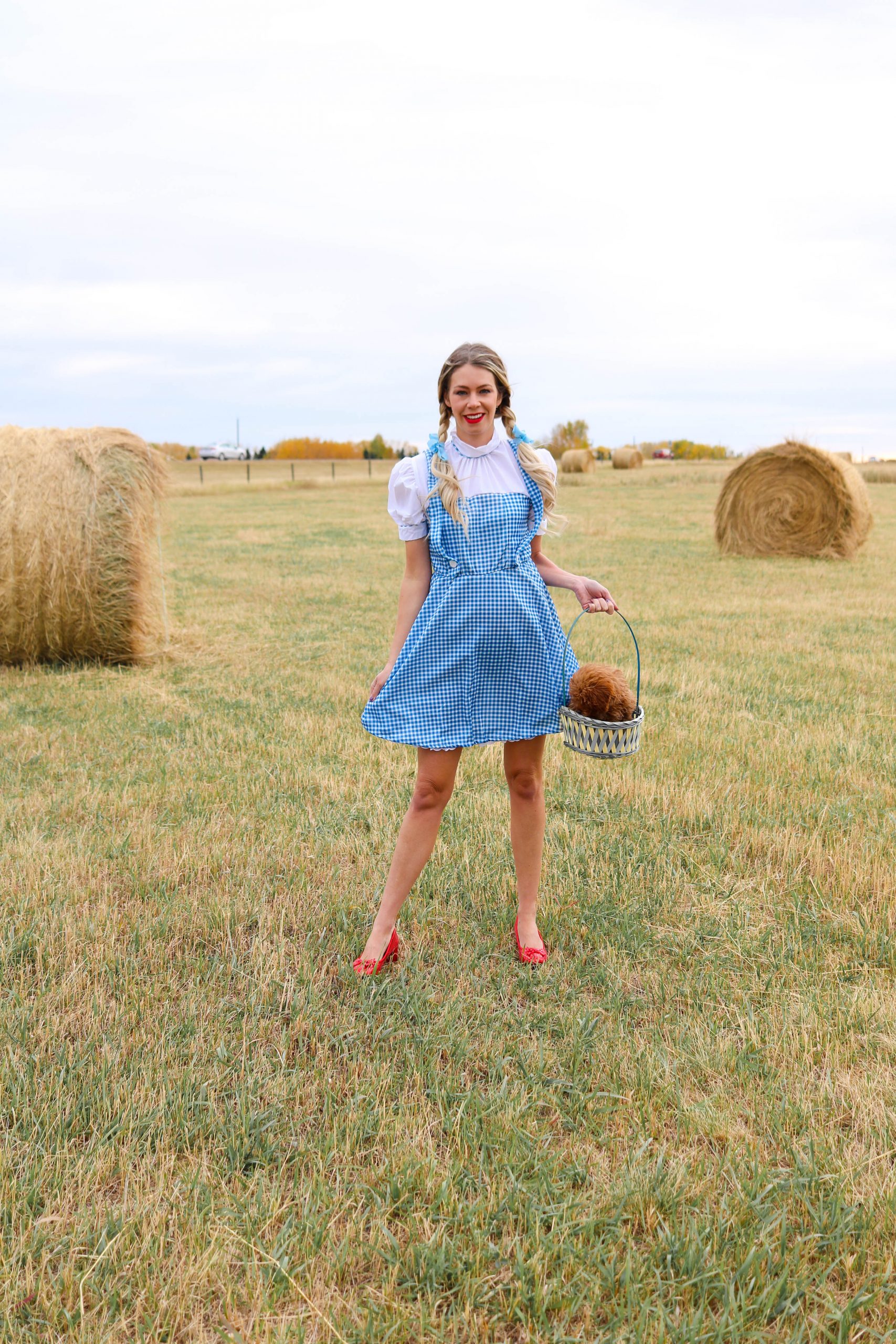 Wizard of Oz Cosplay Dorothy Costume for Women Halloween Book Character