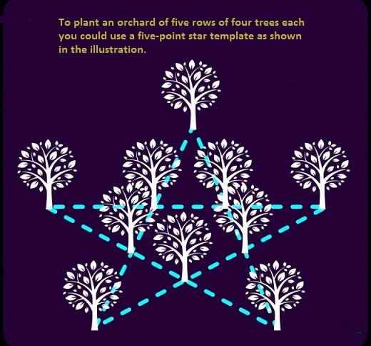 5 Rows 4 Trees Riddle Puzzles Riddles And Brainteasers