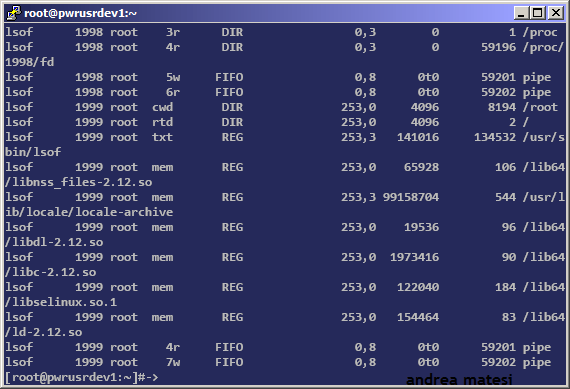 Example running lsof -u root