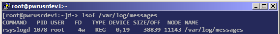 lsof /var/log/messages