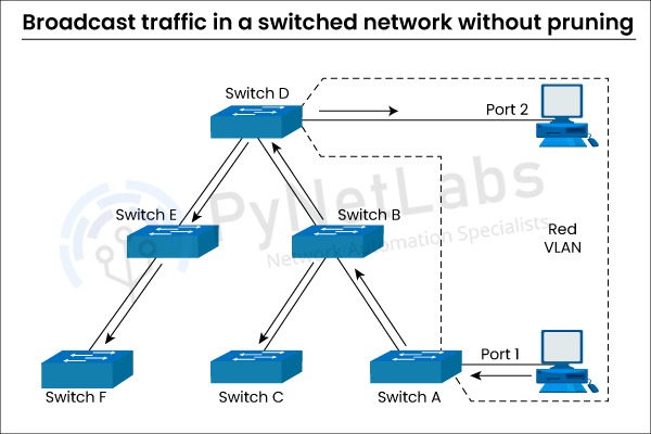 Configuring Vtp Pruning In Packet Tracer Ccna Tutorials - Gorgeous 4K Nature Designs | Free Download