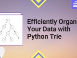 Efficiently Organize Your Data With Python Trie Python Pool