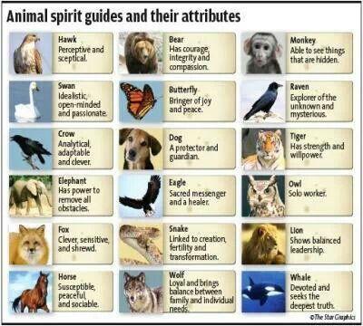 Personality Quiz: What is your spirit animal? in 2020 ...