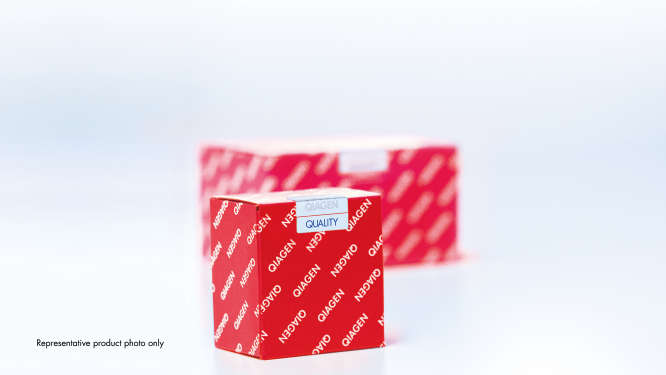 Cup) to keep the extraction tube upright and prevent spillage. Buffer Rlt