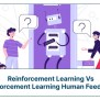 RL Vs. RL From Human Feedback: What's The Difference?
