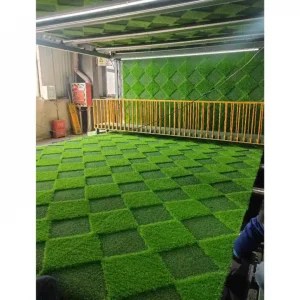 3D Design Geometric Pattern Grass