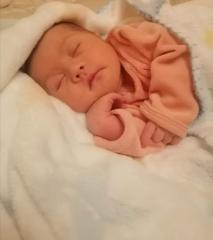 هشام استيتو شاعر مغربي.. يرثي ولده جاد في وَداعِ الفَراشات