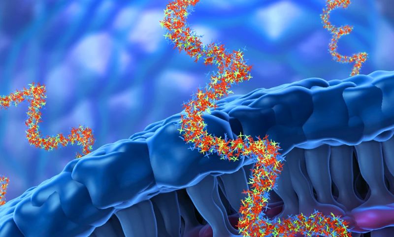 Ptm Analysis Applications Quantum Si - Colorful Image Collection - Ultra HD Quality