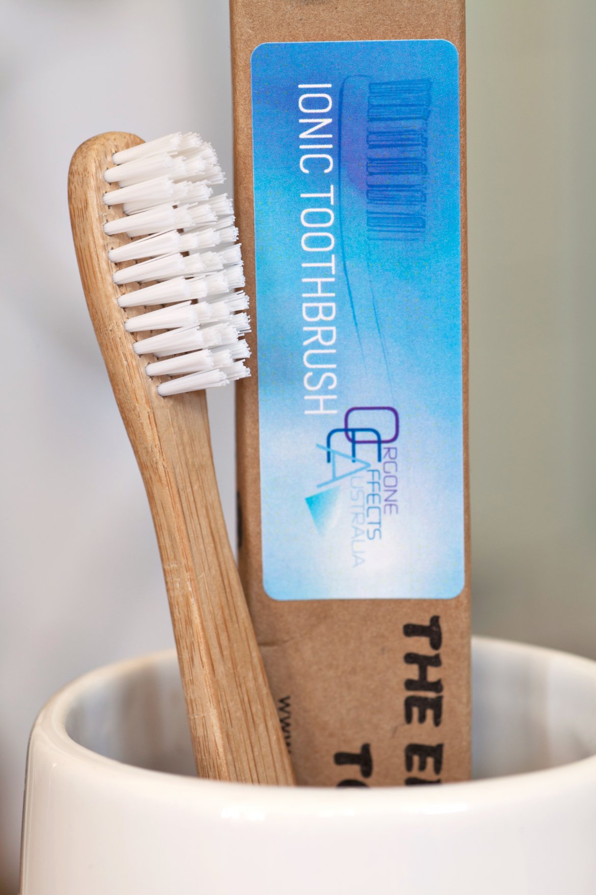 Ionic toothbrush