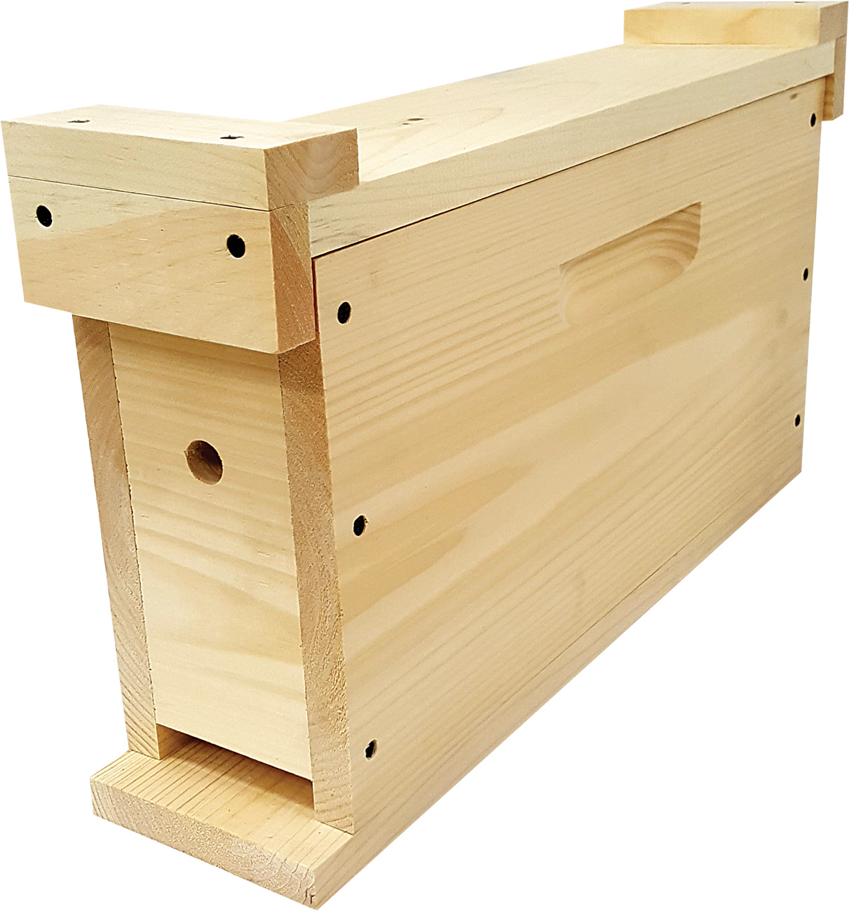 2-Frame Nuc Box with Frames - Queen Right Colonies