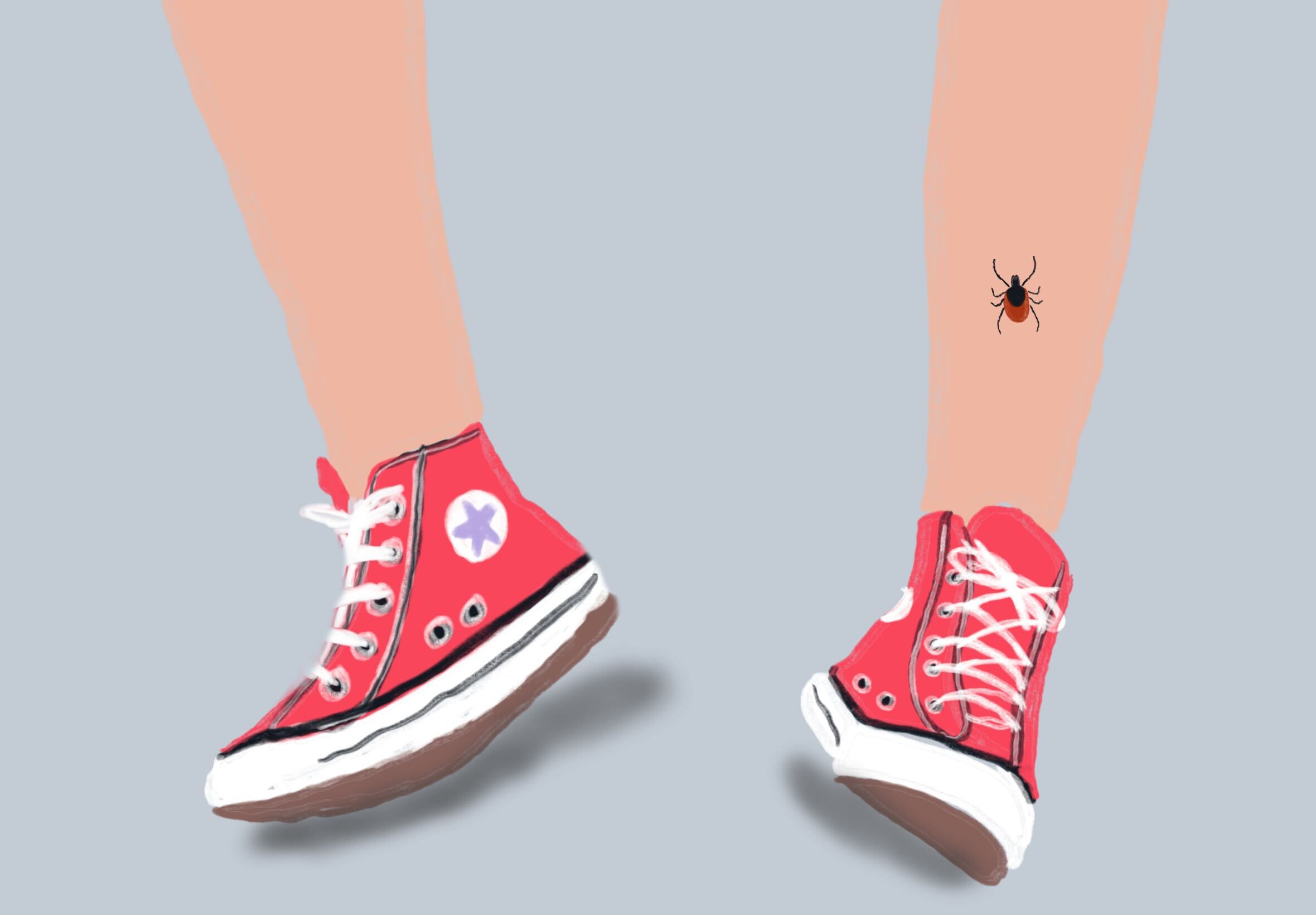 Warmer Weather, Higher Lyme Disease Risk: How to Stay Safe (2026)