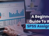 Comprehensive Guide To Spss Assignment Writing