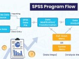 Comprehensive Guide To Spss Assignment Writing