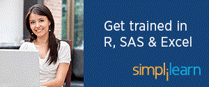 300X125_R,SAS-&-Excel