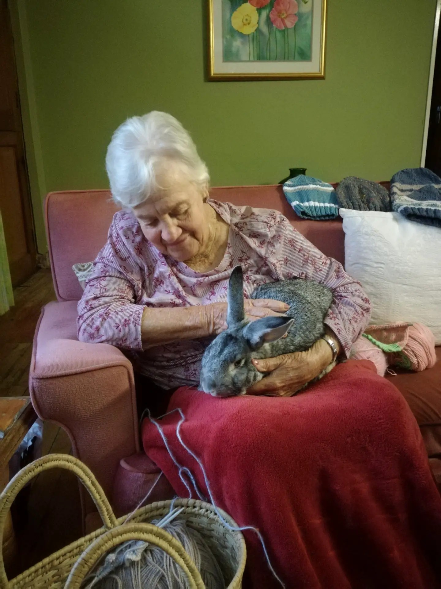 bunnies for seniors