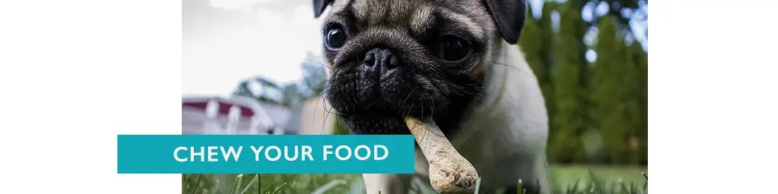 Chew your food