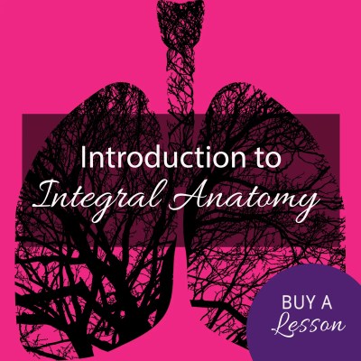 Intro to Integral Anatomy