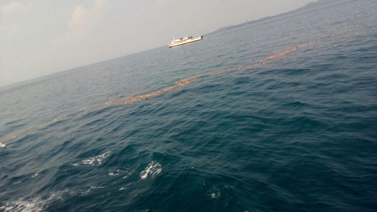 HNSI Cilegon Bentuk Satgas Perlindungan Laut