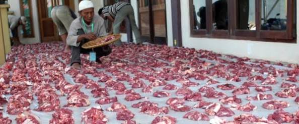 Makan Daging Kurban Berlebihan Perberat Kerja Liver