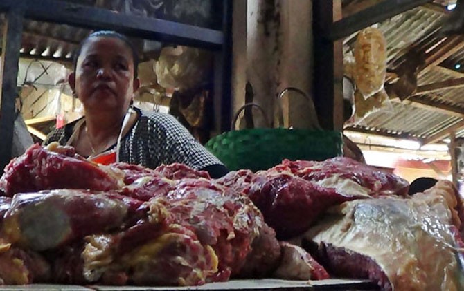 Populasi Sapi Turun, 51 Ribu Ton Daging Beku Diimpor