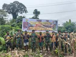 Wujud Kemanunggalan TNI Dengan Rakyat, Satgas Yonif 122/TS Laksanakan Panen Raya Jagung Bersama Masyarakat Perbatasan RI-PNG