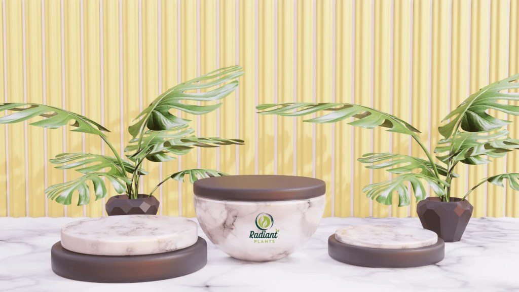 Mini Monstera styled in a sleek planter, bringing fresh greenery and visual texture to a modern home office setup.