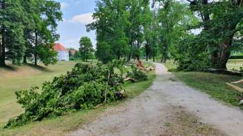 WhatsApp Image 2021-07-20 at 13.30.39 WhatsApp Image 2021-07-20 at 13.30.39