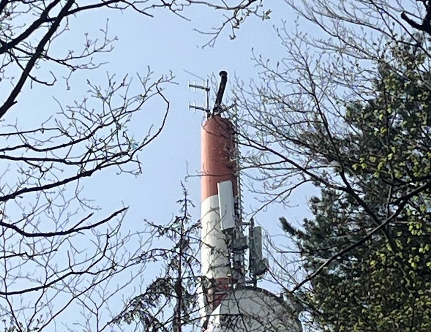 Sendeantennen des DAB+-Senders Rüdesheim (Foto: Peter Schwarz)