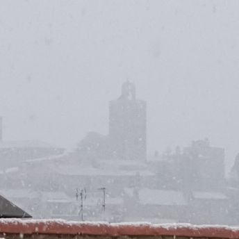 nevada a Pals nevada a Pals