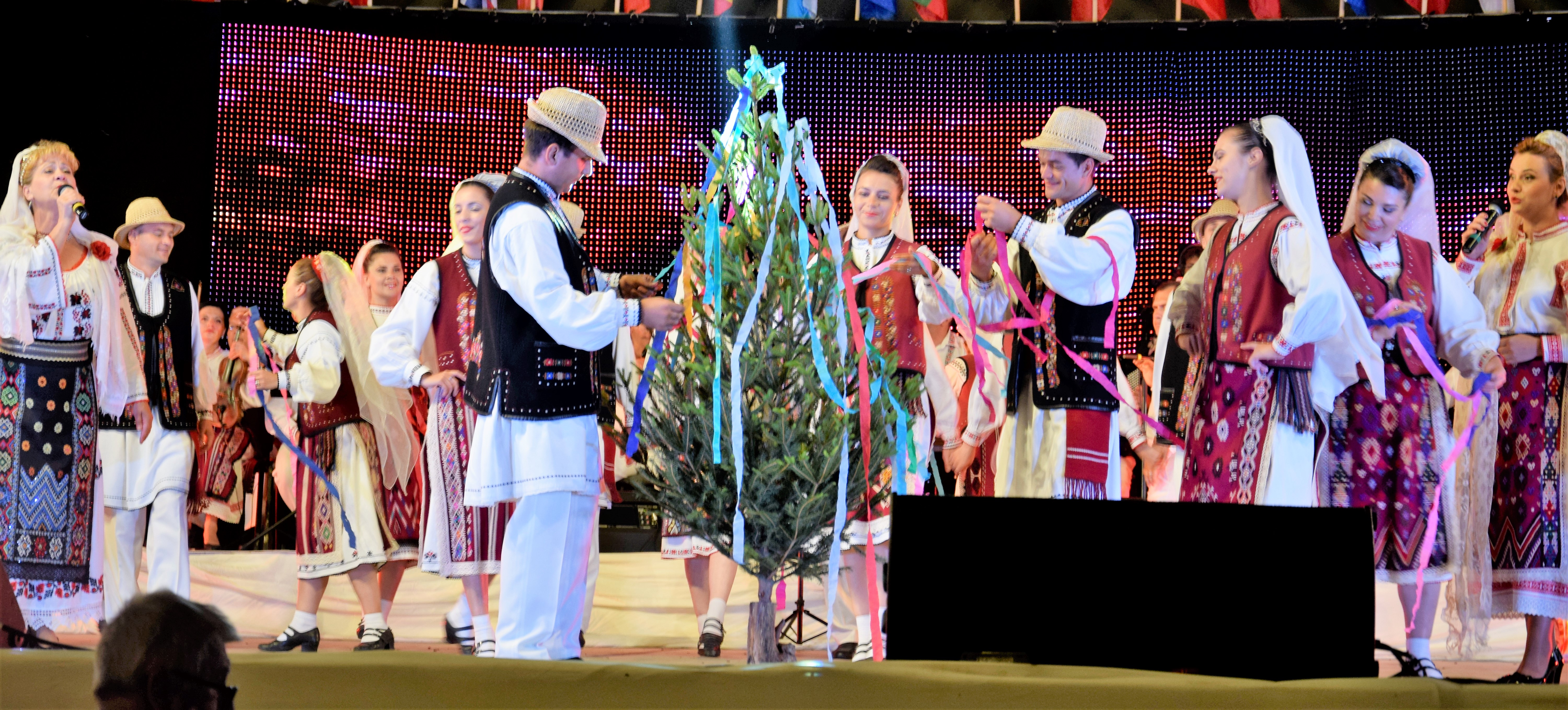 Baladele deltei - Bradul de nuntă