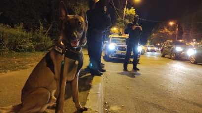 CONSTANȚA: O nouă razie a Poliției Rutiere. 15 șoferi drogați depistați într-o singură noapte