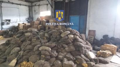 Comercianți de tutun, prelucrat în condiții mizere și vândut inclusiv online, prinși de polițiști