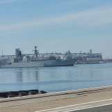 WhatsApp Image 2023-06-16 at 09.57.04 WhatsApp Image 2023-06-16 at 09.57.04