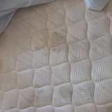 WhatsApp Image 2023-07-14 at 11.18.51 WhatsApp Image 2023-07-14 at 11.18.51